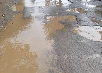 Nyaman dan Indahnya Tinggal Sidoarjo