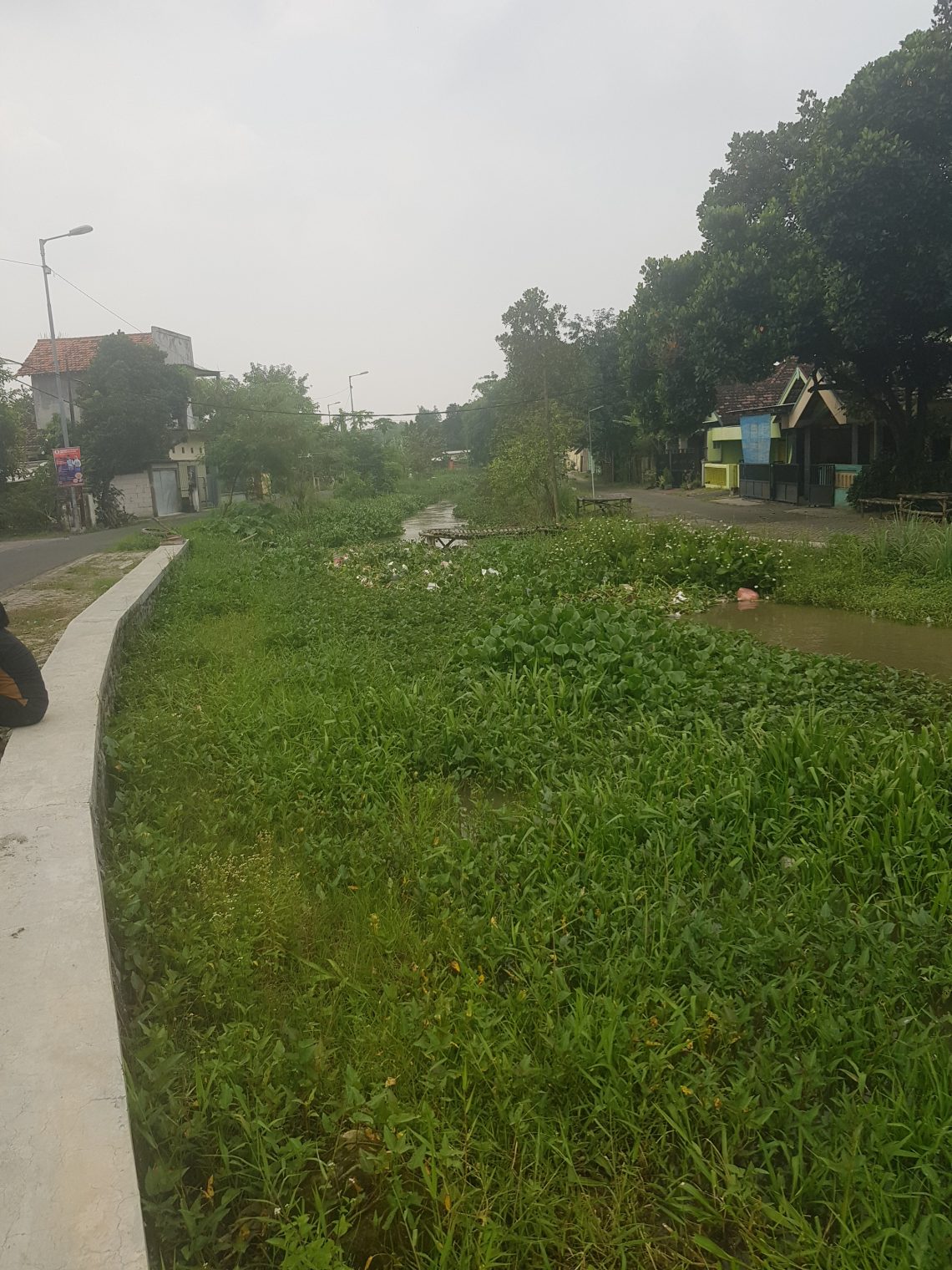 Pemandangan Desa Simo Girang Yang Asri, Dirusak Sungai Yang Kotor