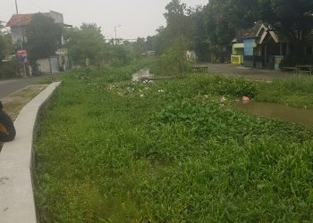 Pemandangan Desa Simo Girang Yang Asri, Dirusak Sungai Yang Kotor