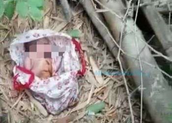 Bayi Sehat Ditemukan di Kebun Tebu