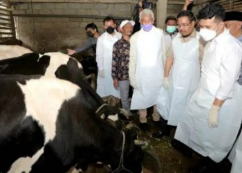 Wagub Emil Minta Peternak Jangan Tunda Vaksinasi