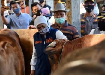 Gubernur Khofifah Apresiasi Kelancaran Pelaksanaan Idul Qurban di Jatim