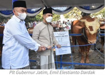 Gubernur Khofifah Niatkan kurban Untuk almarhum 7 Gubernur Jatim