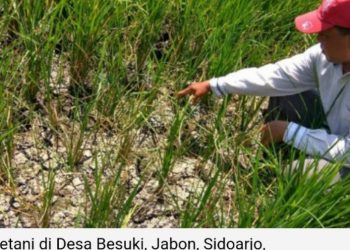 Juni-Juli, Bulan Terpanas