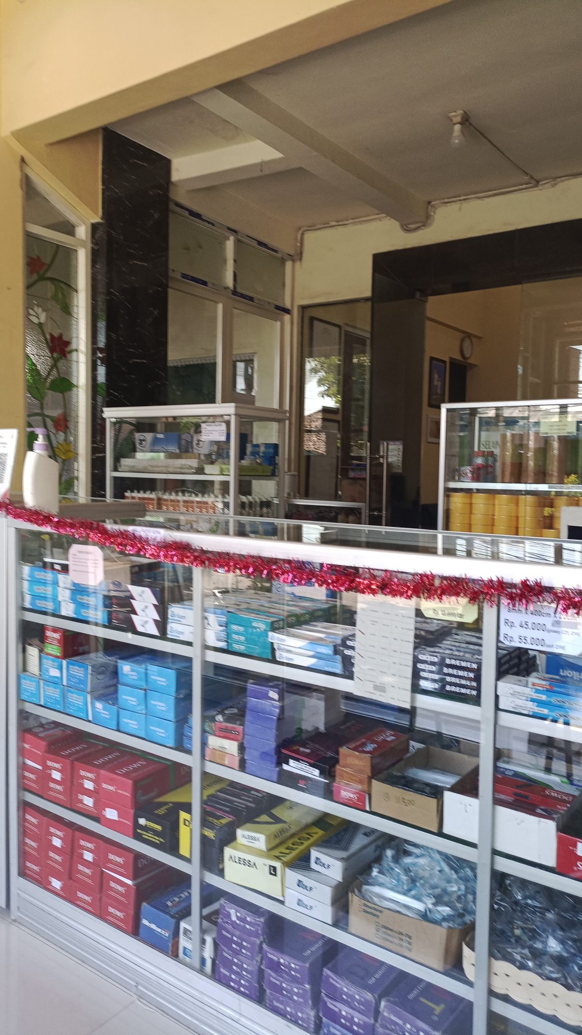 Eforia Belanja di Tiktok Berakhir di Tangan Jokowi