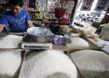 Pembatasan ekspor Beras India  dan Vietnam Timbulkan Masalah Global