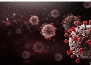 Terdeteksi Virus Baru Arcturus