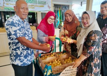 Budidaya Bebek Peking Berkembang di Sidoarjo