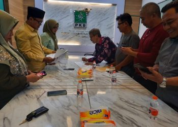 Anak Saiful Ilah, Daftar Cabup di PKB