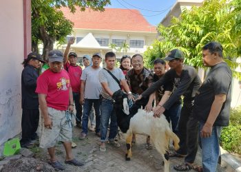 Merawat Kerukunan, Wartawan DPRD Sidoarjo korban 2 Kambing