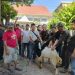 Merawat Kerukunan, Wartawan DPRD Sidoarjo korban 2 Kambing