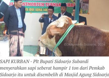 Plt Bupati Sidoarjo, Subandi Serahkan Sapi Berbobot 1 ton ke Masjid Agung