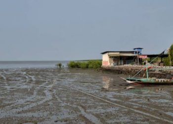 Pengkavlingan Laut di Sidoarjo Jauh Lebih Awal Dari Tangerang