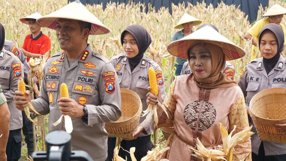 Polda Jatim Gelar Panen Jagung di Tanggulangin