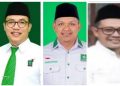 DPC PKB Sidoarjo Lengkap