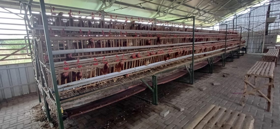 Siswa SDN Sarirogo Kehilangan Selera Makan