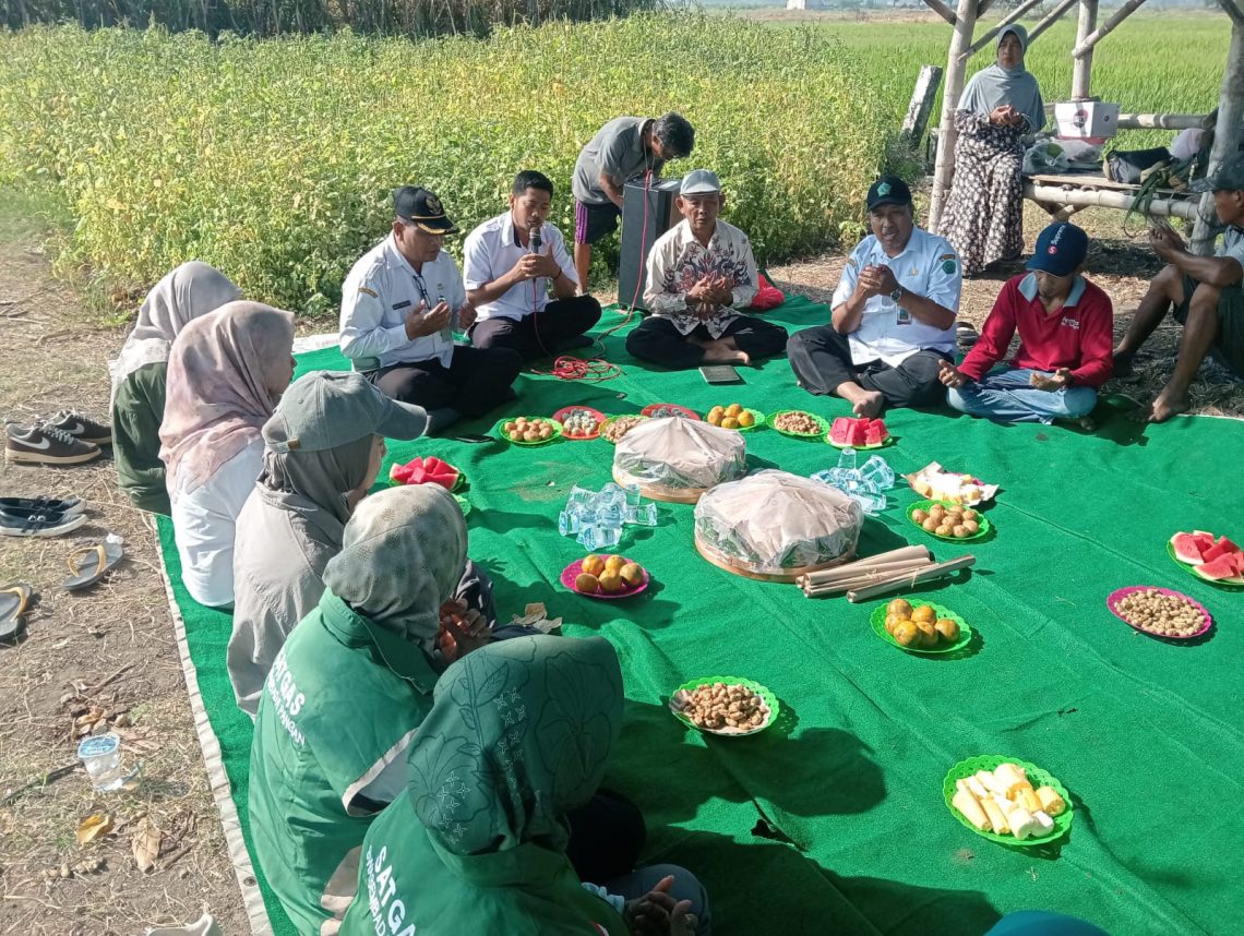 Dusun Melati, Panen Bawang Merah