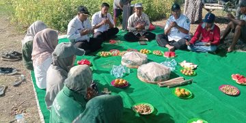 Dusun Melati, Panen Bawang Merah