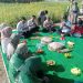 Dusun Melati, Panen Bawang Merah